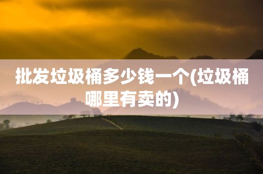 批发垃圾桶多少钱一个(垃圾桶哪里有卖的)