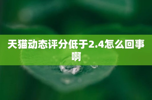 天猫动态评分低于2.4怎么回事啊