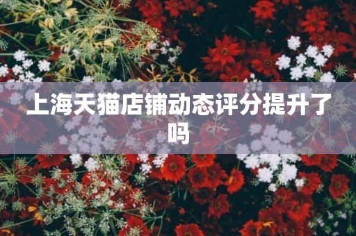 上海天猫店铺动态评分提升了吗