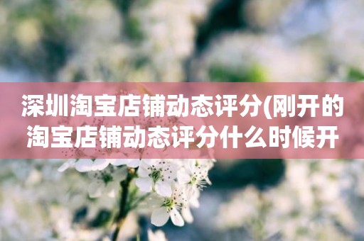 深圳淘宝店铺动态评分(刚开的淘宝店铺动态评分什么时候开始显示)