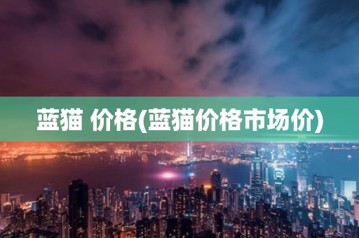 蓝猫 价格(蓝猫价格市场价)