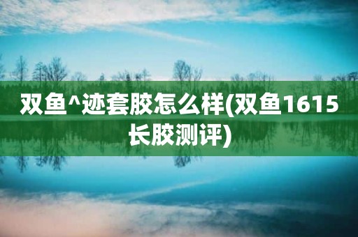 双鱼^迹套胶怎么样(双鱼1615长胶测评)