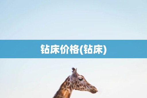 钻床价格(钻床)