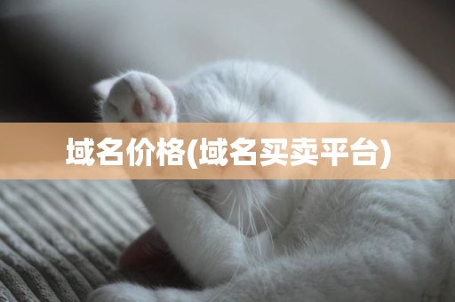 域名价格(域名买卖平台)
