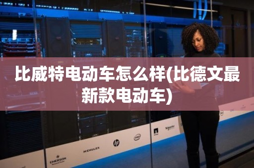 比威特电动车怎么样(比德文最新款电动车)