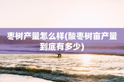枣树产量怎么样(酸枣树亩产量到底有多少)