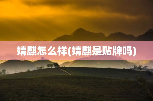 婧麒怎么样(婧麒是贴牌吗)