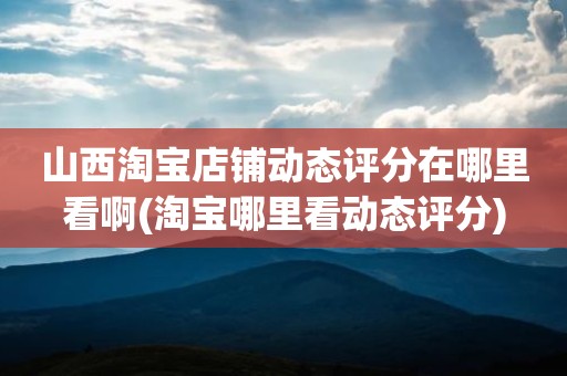 山西淘宝店铺动态评分在哪里看啊(淘宝哪里看动态评分)