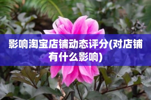 影响淘宝店铺动态评分(对店铺有什么影响)