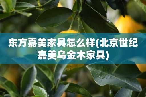 东方嘉美家具怎么样(北京世纪嘉美乌金木家具)