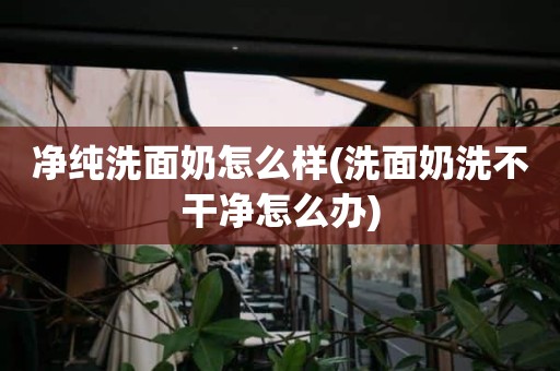 净纯洗面奶怎么样(洗面奶洗不干净怎么办)