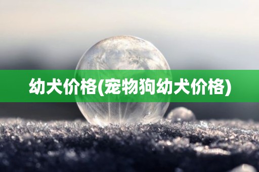 幼犬价格(宠物狗幼犬价格)