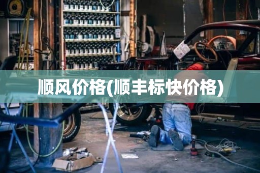 顺风价格(顺丰标快价格)