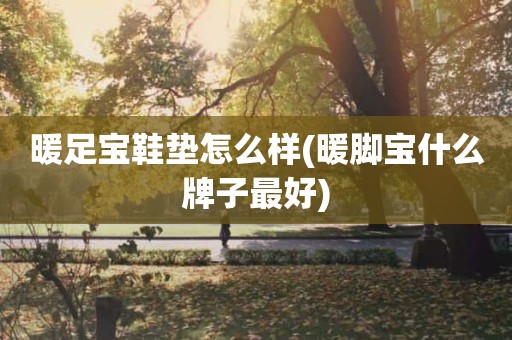 暖足宝鞋垫怎么样(暖脚宝什么牌子最好)
