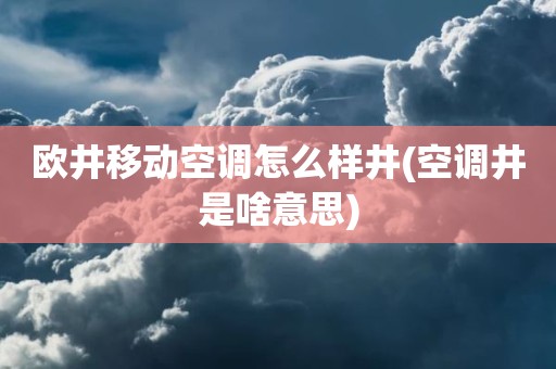 欧井移动空调怎么样井(空调井是啥意思)