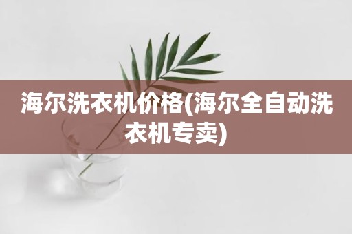 海尔洗衣机价格(海尔全自动洗衣机专卖)