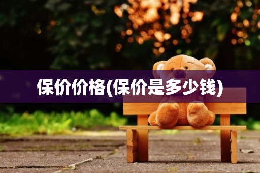 保价价格(保价是多少钱)