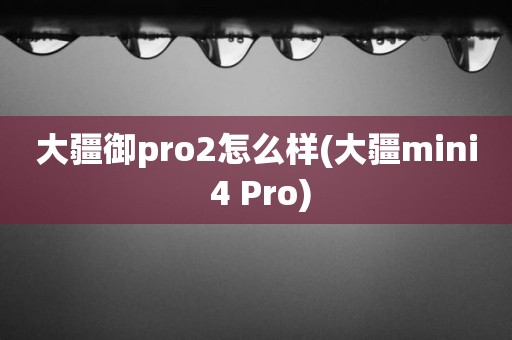 大疆御pro2怎么样(大疆mini 4 Pro)