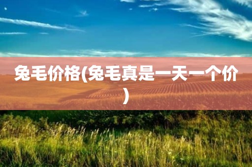 兔毛价格(兔毛真是一天一个价)