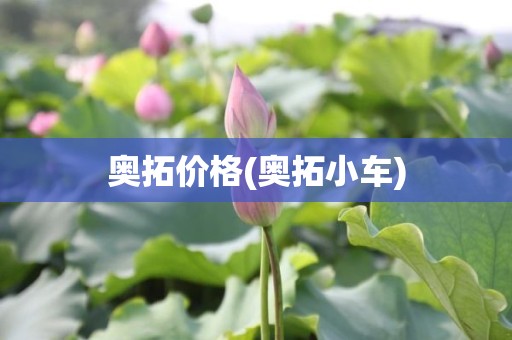 奥拓价格(奥拓小车)