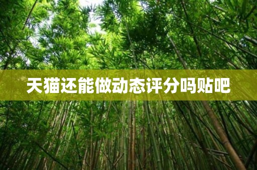 天猫还能做动态评分吗贴吧