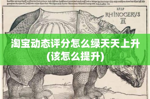 淘宝动态评分怎么绿天天上升(该怎么提升)
