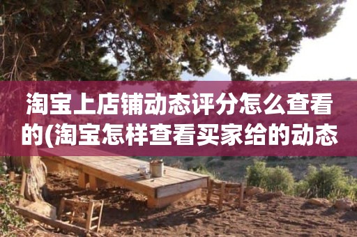 淘宝上店铺动态评分怎么查看的(淘宝怎样查看买家给的动态评分)