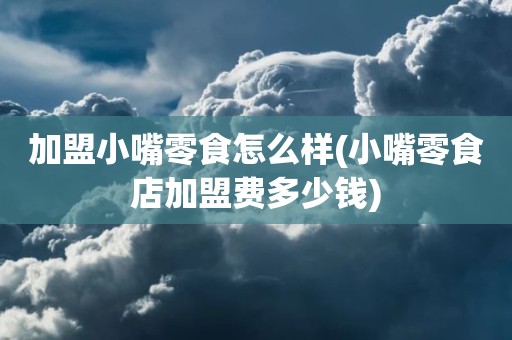 加盟小嘴零食怎么样(小嘴零食店加盟费多少钱)
