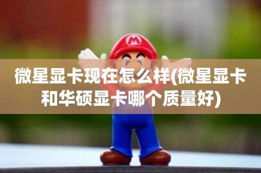 微星显卡现在怎么样(微星显卡和华硕显卡哪个质量好)