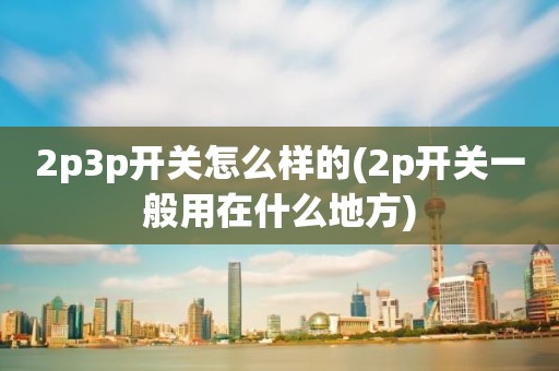 2p3p开关怎么样的(2p开关一般用在什么地方)