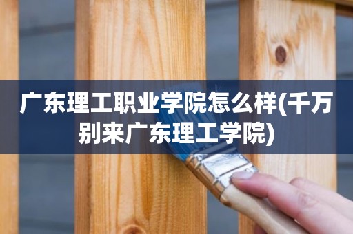 广东理工职业学院怎么样(千万别来广东理工学院)