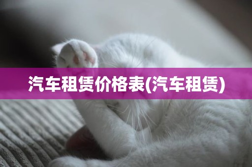 汽车租赁价格表(汽车租赁)
