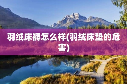 羽绒床褥怎么样(羽绒床垫的危害)