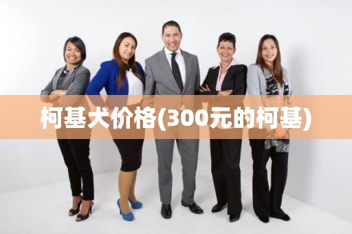 柯基犬价格(300元的柯基)