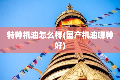 特种机油怎么样(国产机油哪种好)