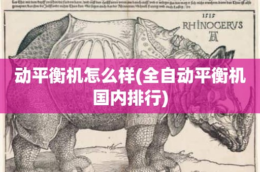 动平衡机怎么样(全自动平衡机国内排行)