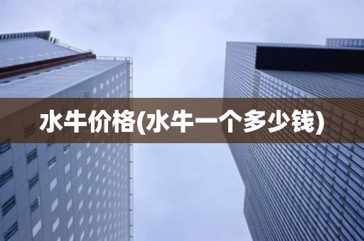 水牛价格(水牛一个多少钱)