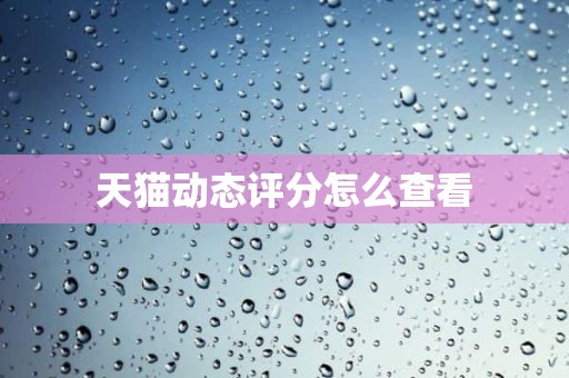 天猫动态评分怎么查看