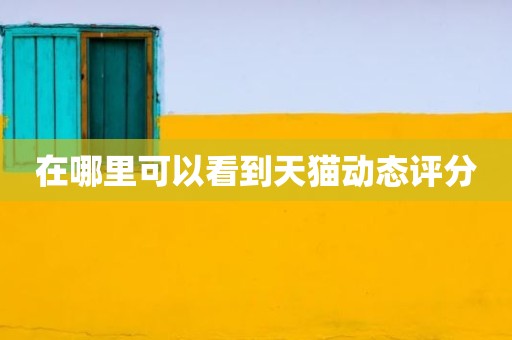 在哪里可以看到天猫动态评分
