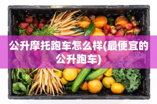 公升摩托跑车怎么样(最便宜的公升跑车)