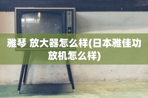 雅琴 放大器怎么样(日本雅佳功放机怎么样)