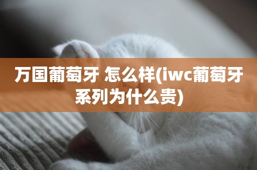 万国葡萄牙 怎么样(iwc葡萄牙系列为什么贵)