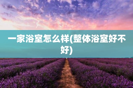 一家浴室怎么样(整体浴室好不好)