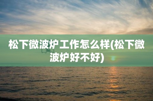 松下微波炉工作怎么样(松下微波炉好不好)
