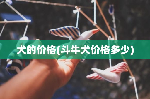 犬的价格(斗牛犬价格多少)