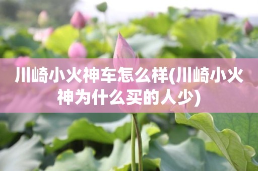 川崎小火神车怎么样(川崎小火神为什么买的人少)