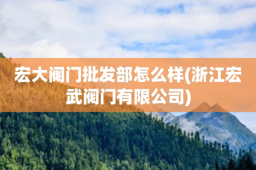 宏大阀门批发部怎么样(浙江宏武阀门有限公司)