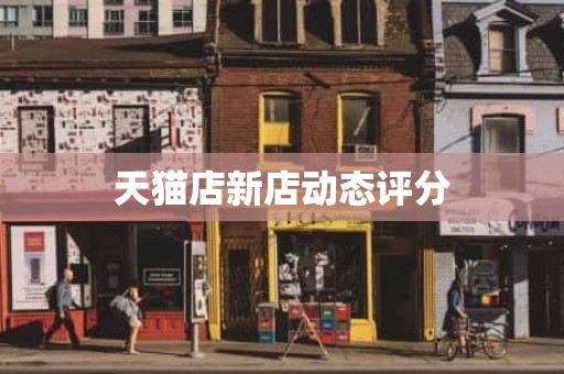 天猫店新店动态评分