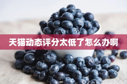 天猫动态评分太低了怎么办啊