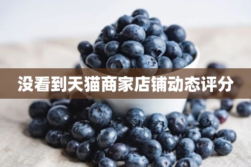 没看到天猫商家店铺动态评分